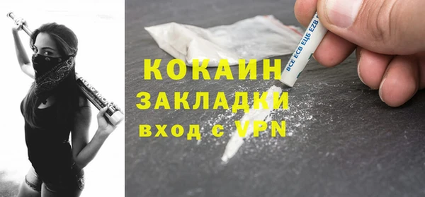 шишки Новодвинск