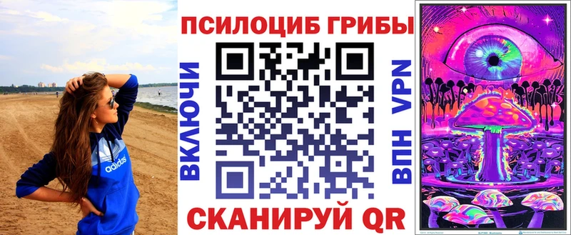 блэк спрут как войти  что такое   Новокузнецк  Псилоцибиновые грибы Psilocybine cubensis 